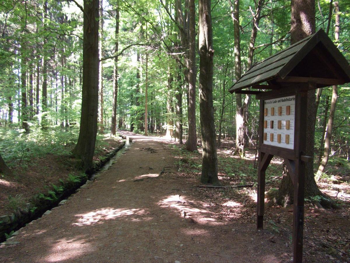 Ferienwohnung Erzgebirge - Pobershau - Mit Schoenem Ausblick, Ruhige, Beste Lage מראה חיצוני תמונה